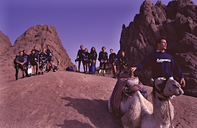 Camel Team 2000