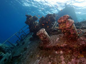 Kormoran wreck