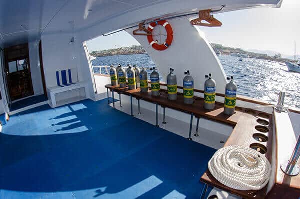 camel-tribe-dive-deck